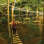 Aerial Challenge Course