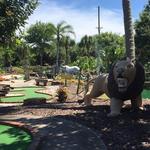 Safari Golf and Games