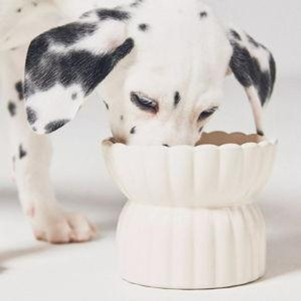 Fringe Studio White Raised Pet Feeder