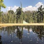 Jardín Etnobotánico de Oaxaca