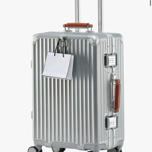 20 Inch Carry On Luggage with Leather Handle, PC Zipperless Suitcase with Spinner Wheels and TSA Locks, 22x14x9 Airline Approved Luggage for Travel, Silver