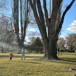 Day At The Park