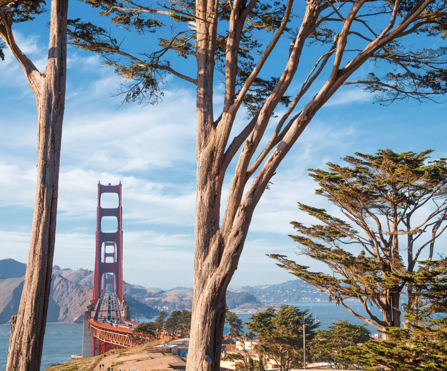 The Wedding Website of Shelby Talley and Nick McKenna