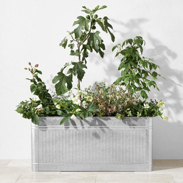 Vintage Galvanized Raised Planter, 40" x 18"