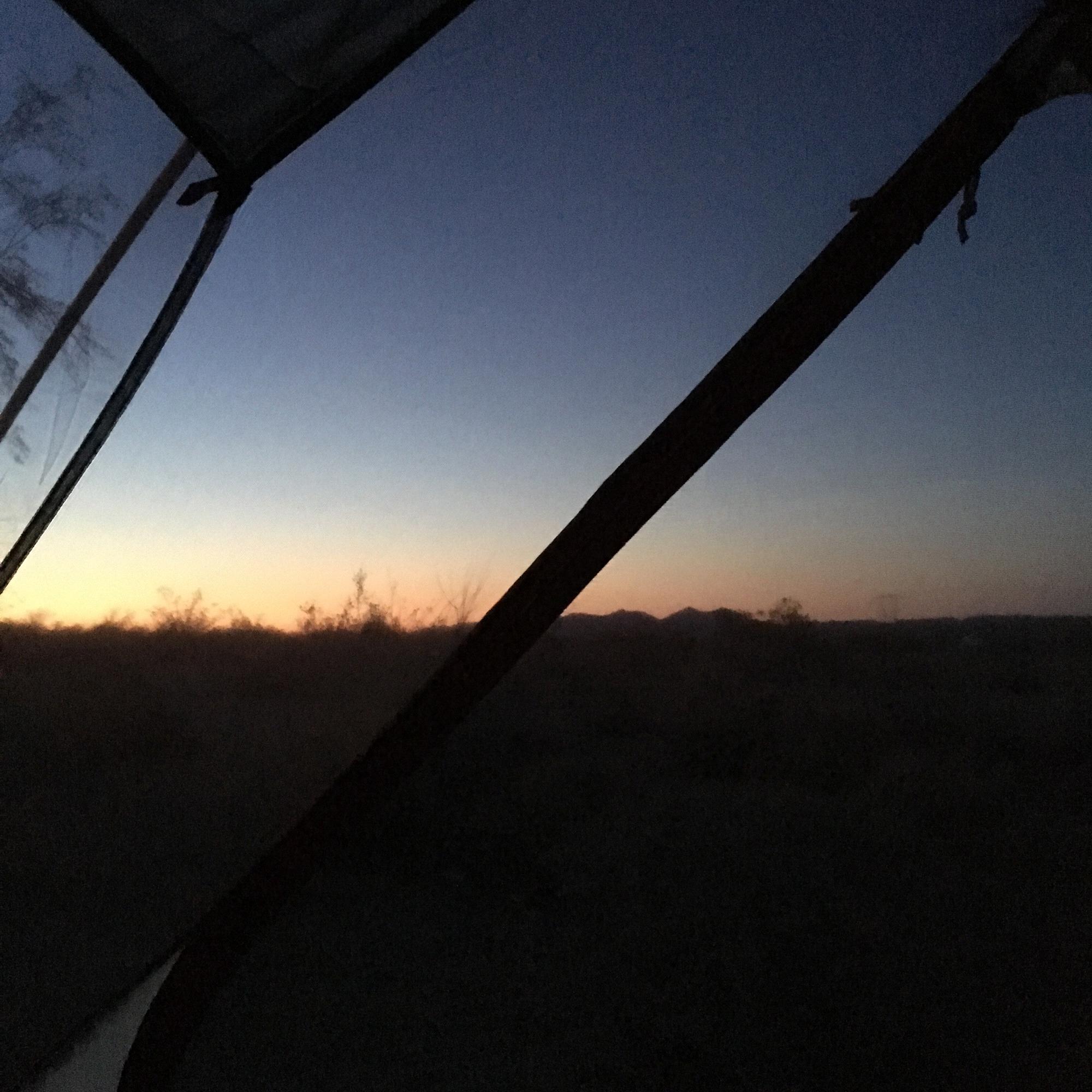 Our first morning testing out our backpacking equipment in Joshua National Forest
