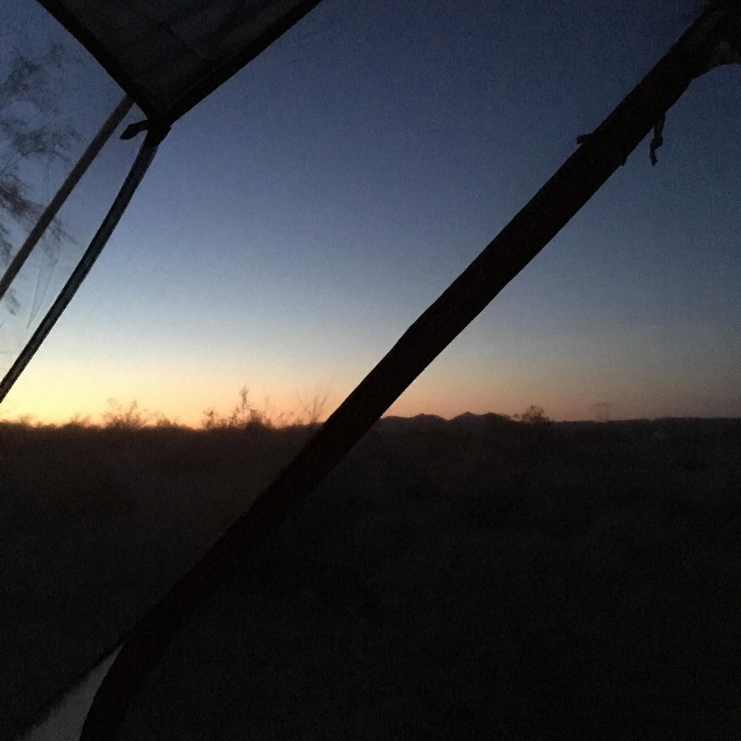 Our first morning testing out our backpacking equipment in Joshua National Forest