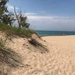 Warren Woods State Park
