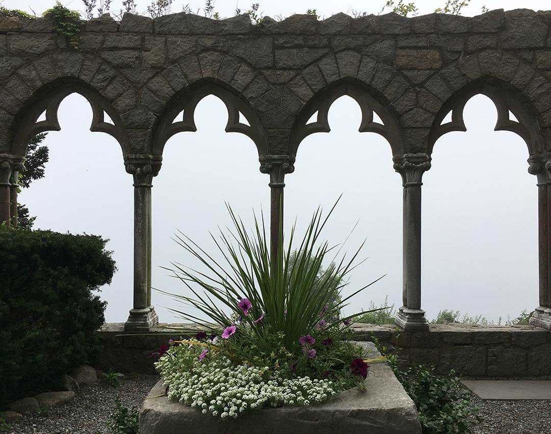 The Wedding Website of Rosetta DePaul and Shane Doherty