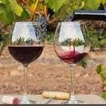 Wine Tasting