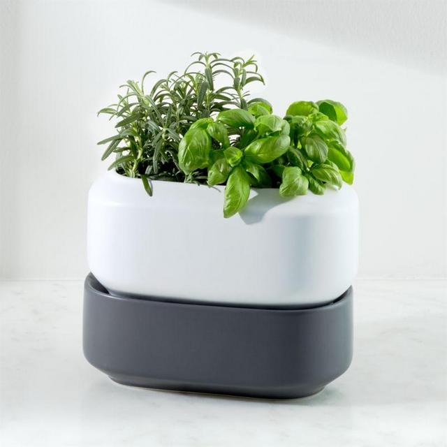 Chef'n ® Large Herb Planter Box