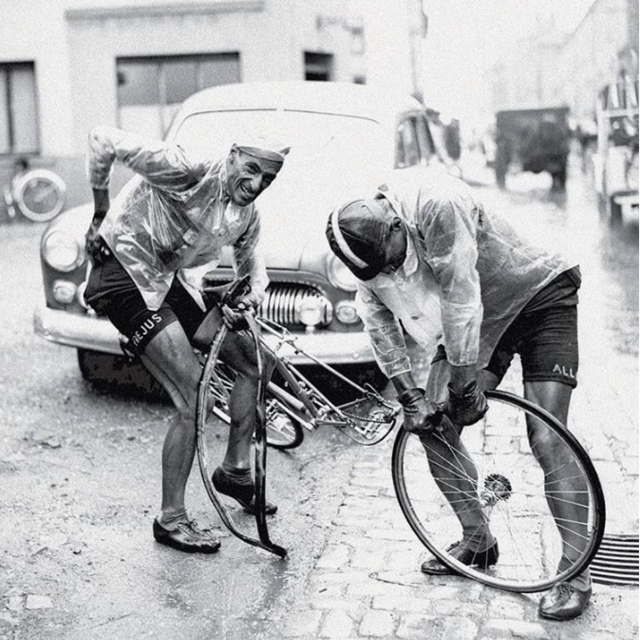 Domestique Wine Club