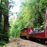 The Skunk Train