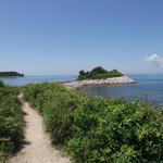 Path to the Knob
