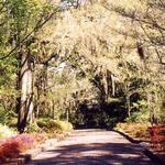 Alfred B. Maclay Gardens State Park