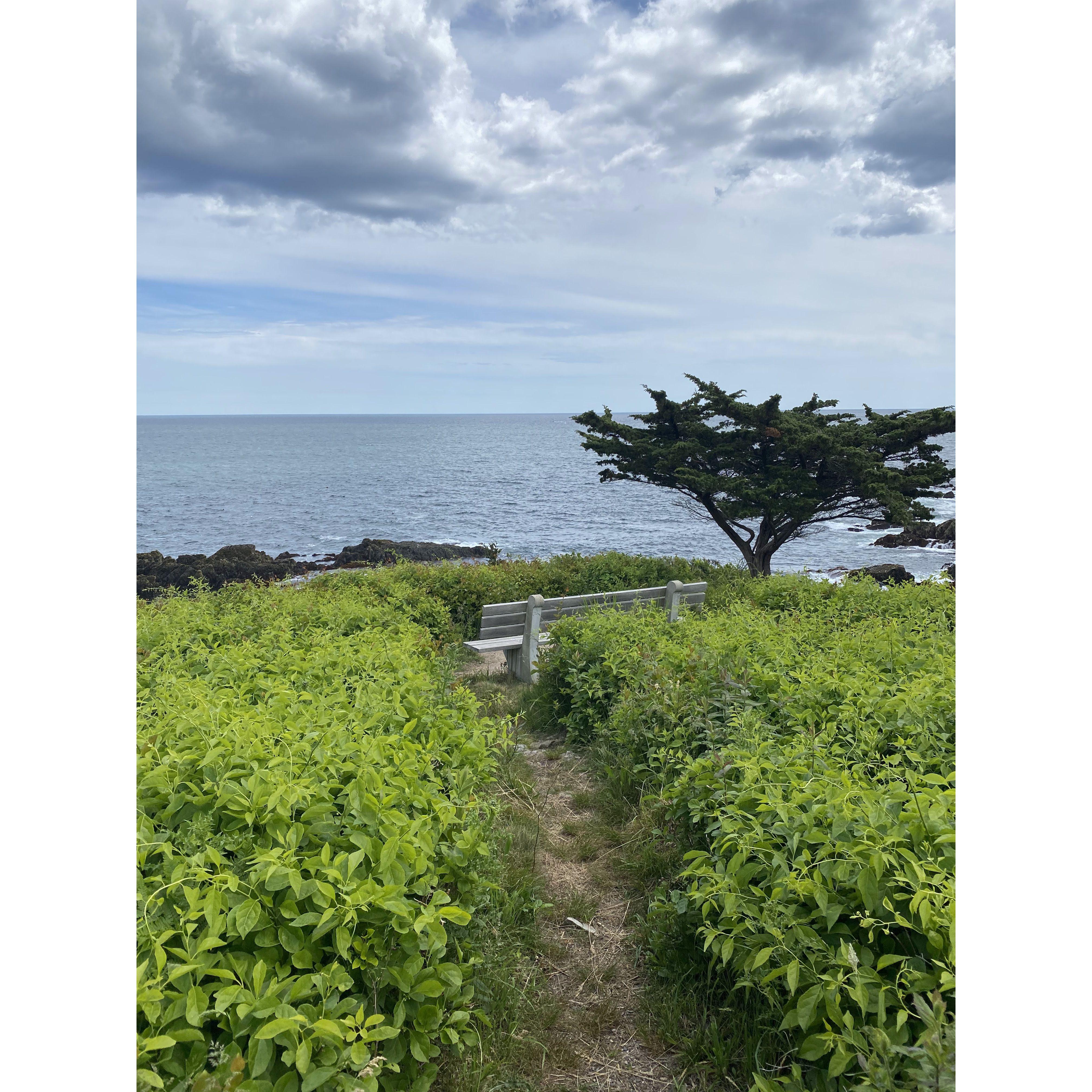 The Spot in Kennebunkport, ME where Brian proposed to Maggie on June 11, 2022!