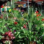 Wilmette Farmer's Market