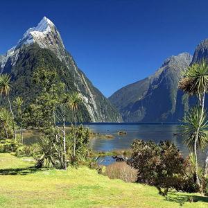 New Zealand March 2026 Honeymoon Fund
