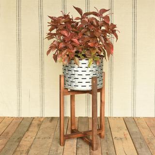 Henley Planter with Wood Base