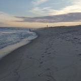 Robert Moses State Park Field 2