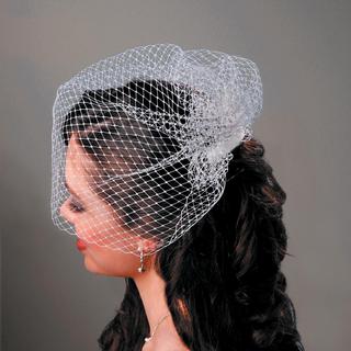 Birdcage Veil with Comb