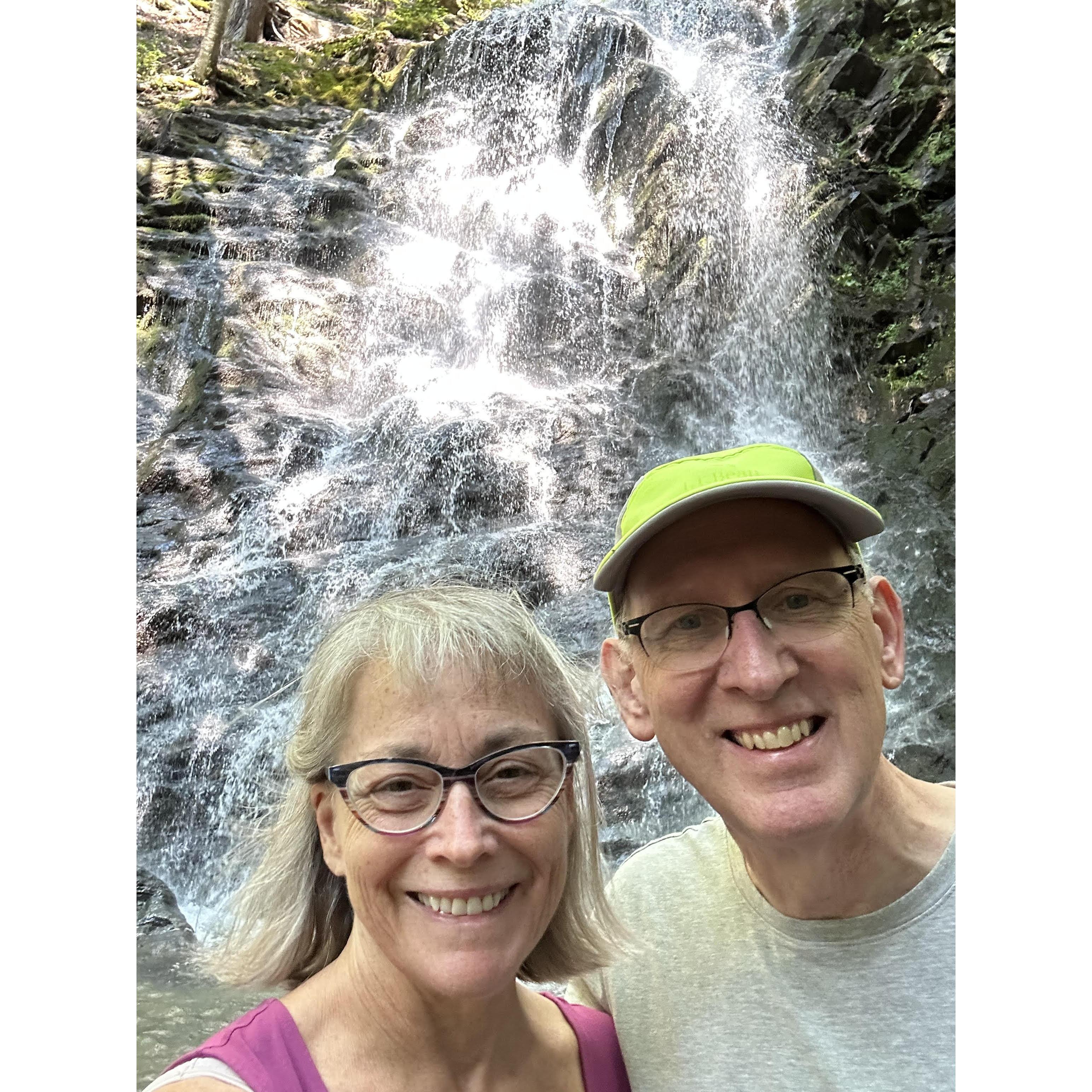 Walk to the waterfall off Camp Arden Rd