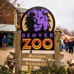 Denver Zoo