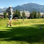 Hit the Green