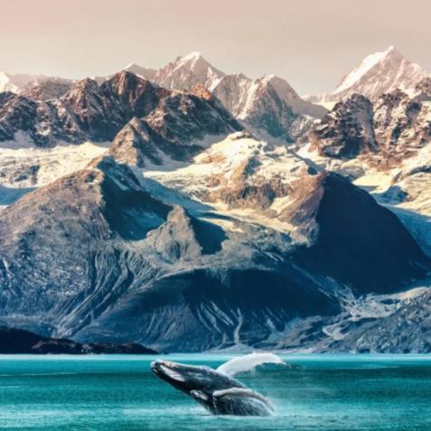 Honeymoon - Anchorage, Alaska