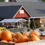 Weber's Cider Mill Farm Inc