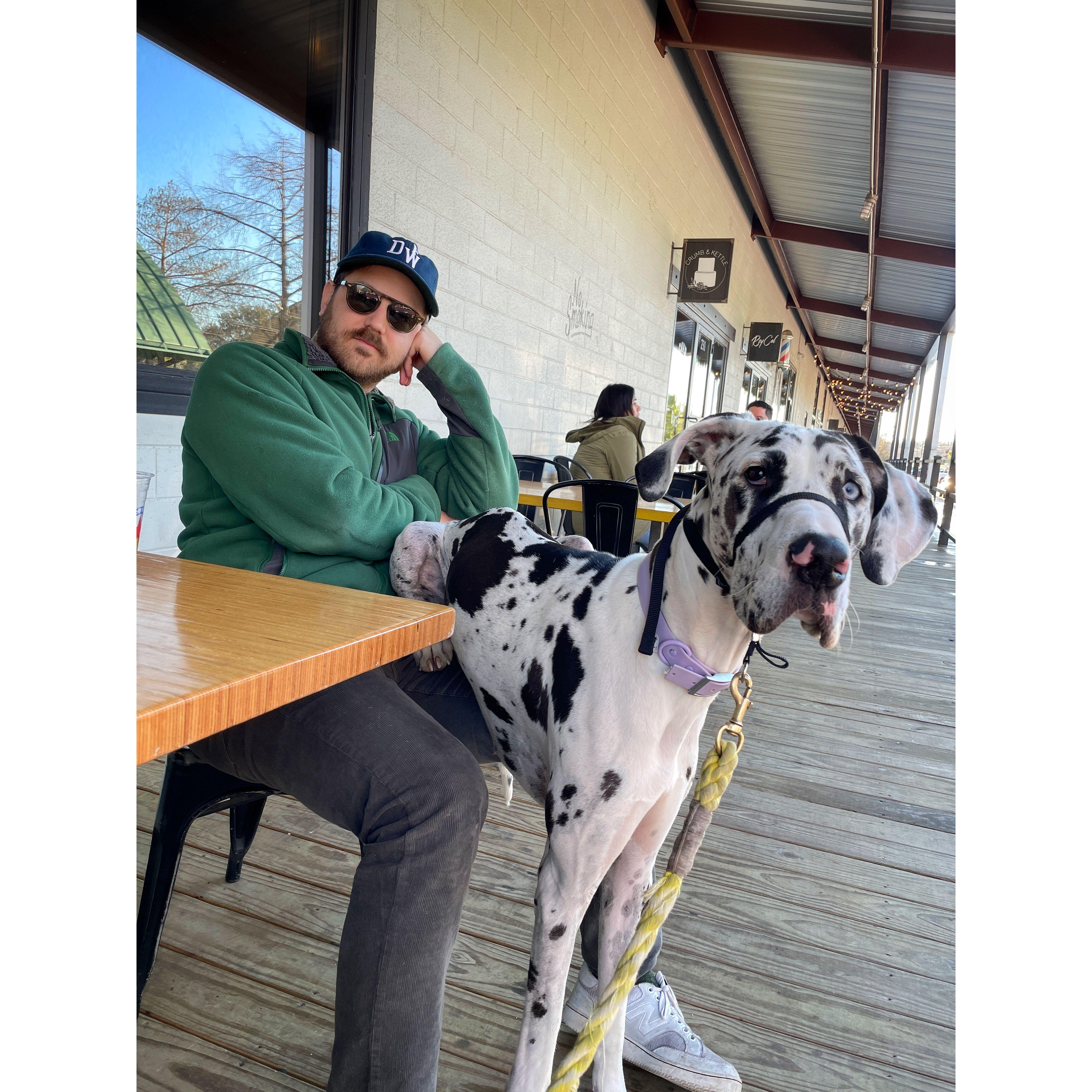 Lap dog #1