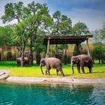 Fort Worth Zoo