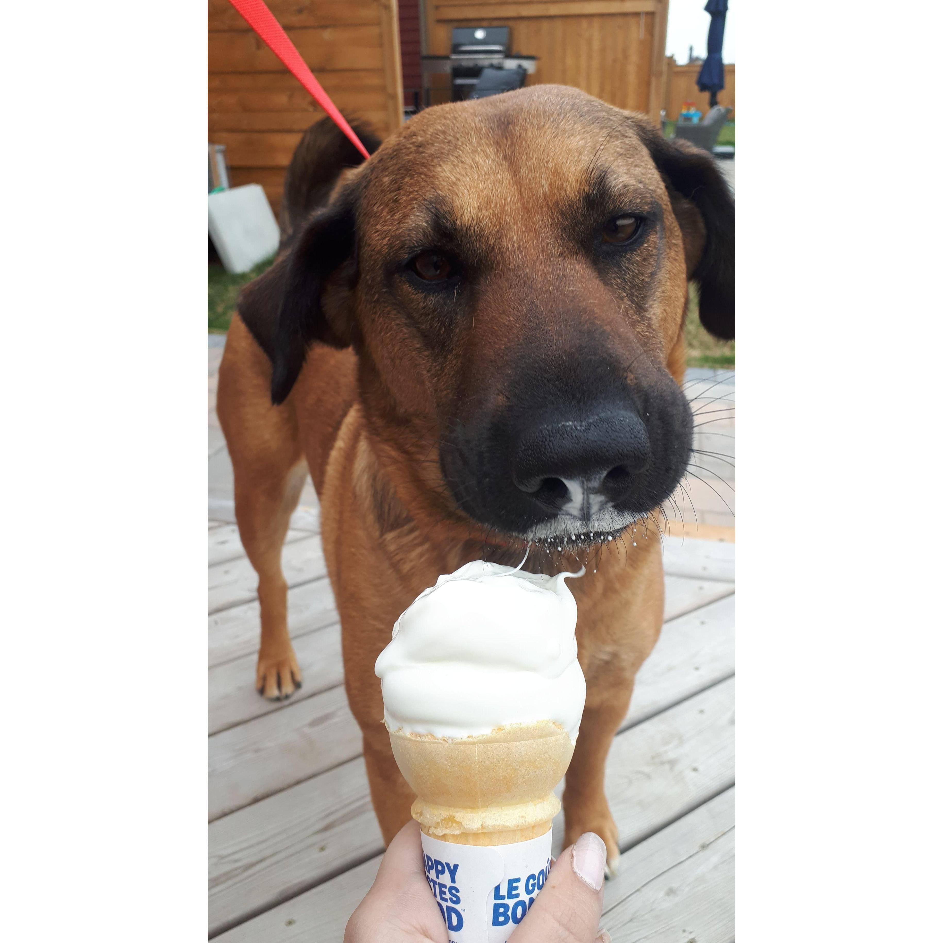 Luna's first ice cream