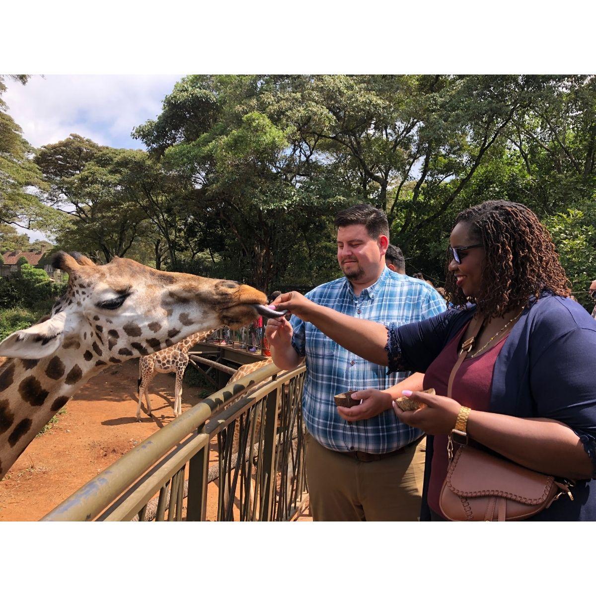 Feeding Giraffes at the Giraffe Center, Nairobi, 2024