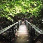 William B. Umstead State Park