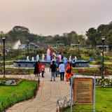 Rose garden Bathinda