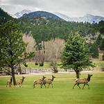 Lake Estes 9-Hole Golf Course