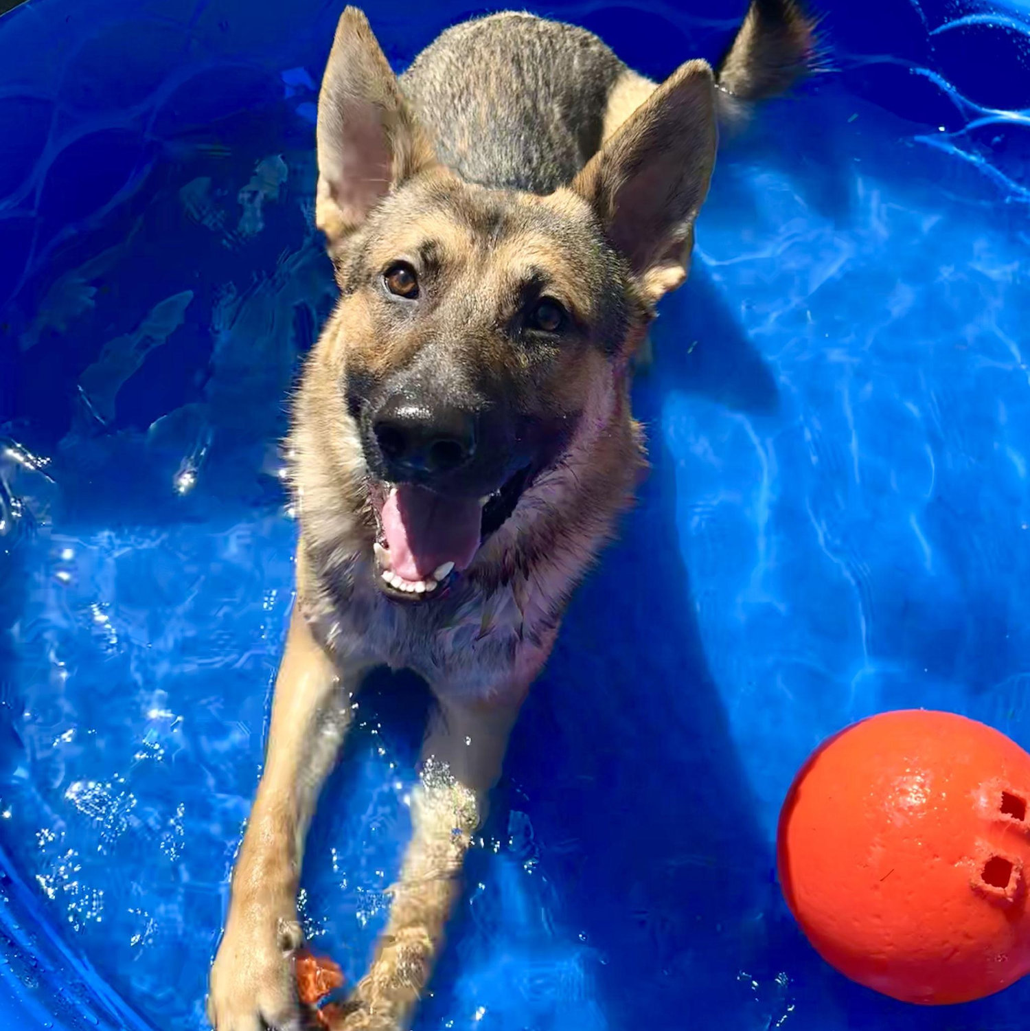 his swimming pool!