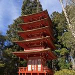 Japanese Tea Garden