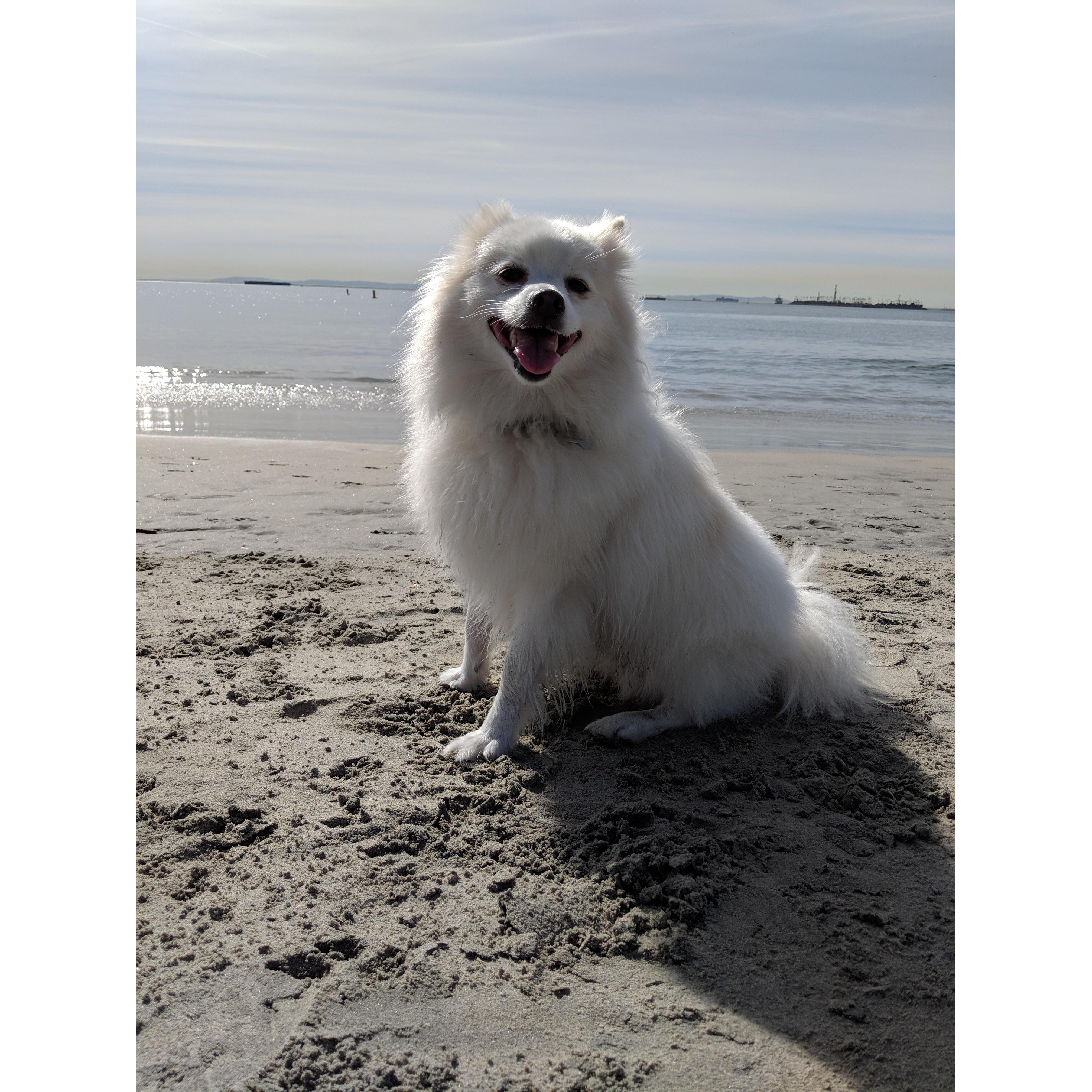 Ghosty Ghost!