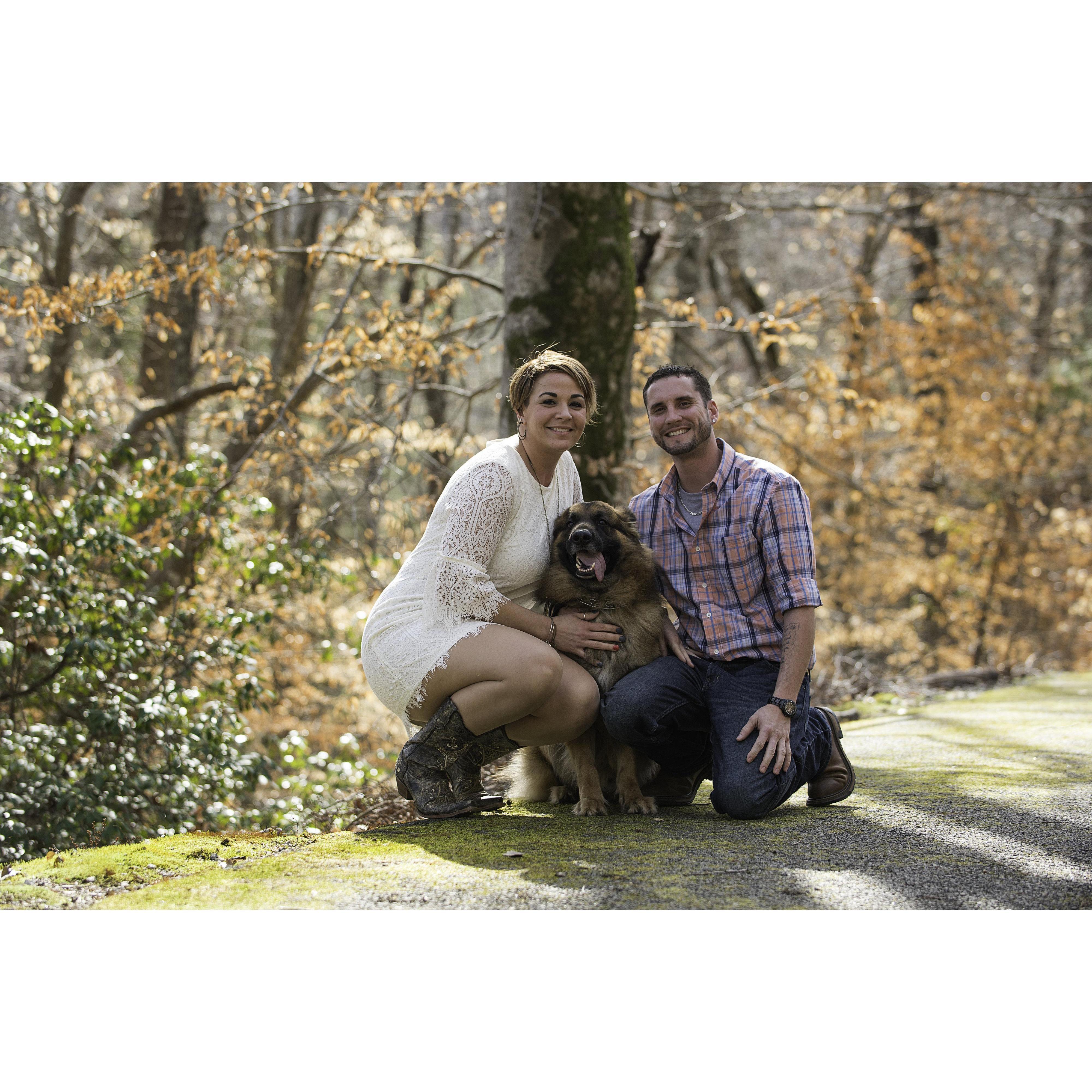 Engagement photo with our German Shepherd, Falcor