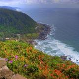 Cape Perpetua Scenic Area