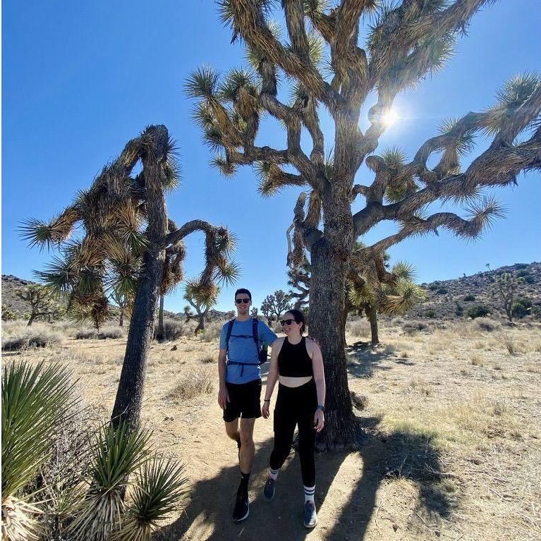 Joshua Tree, January 2022
