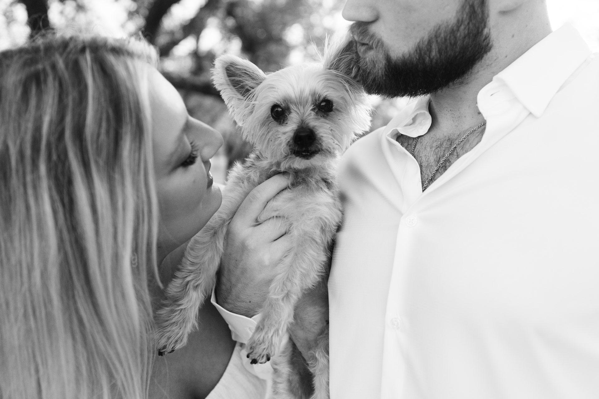 The Wedding Website of Emma Thomas and Braden Buckman