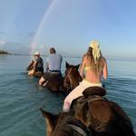 Horseback Riding Through Ocean