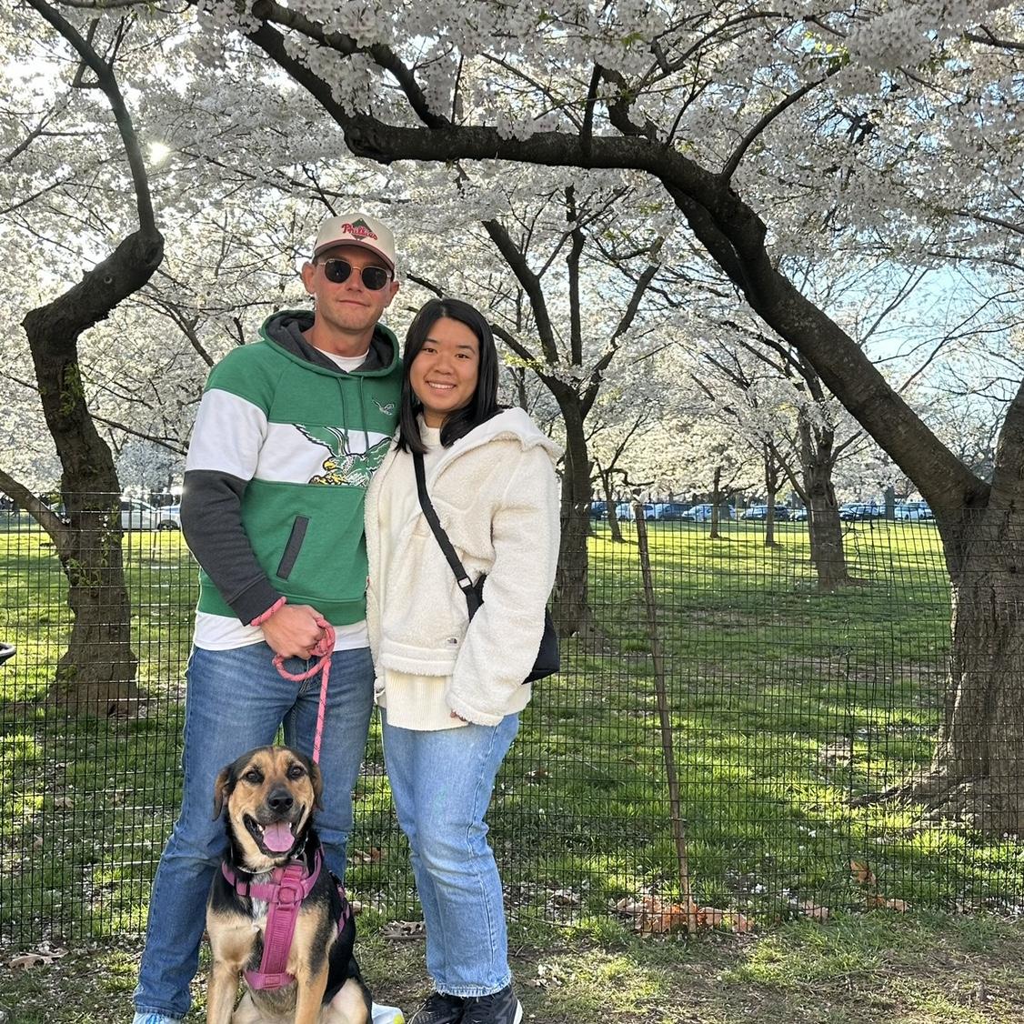 Cherry blossoms in DC on a random spur of the moment!