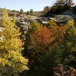 Buffalo Rock State Park