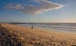 Dockweiler Beach