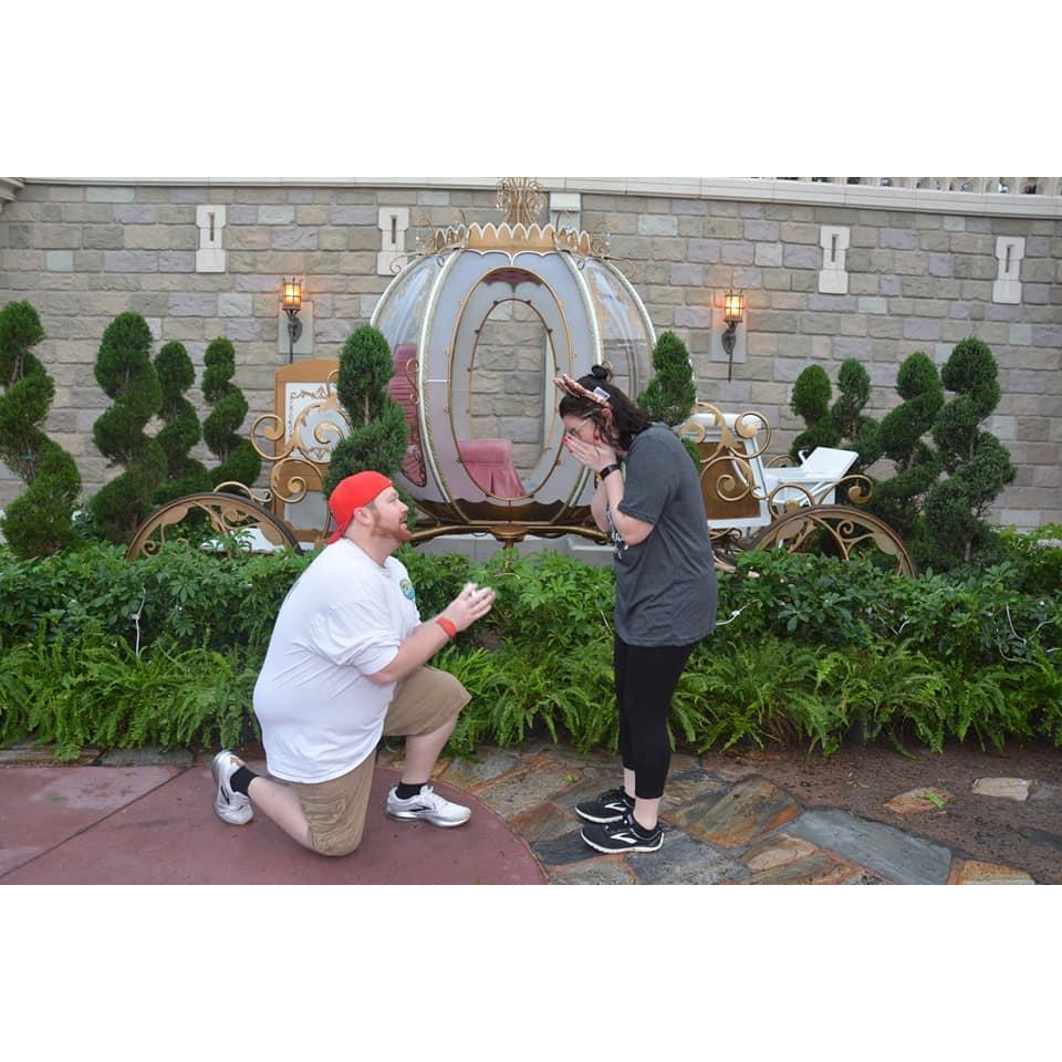 Our magical proposal! 12.30.2018