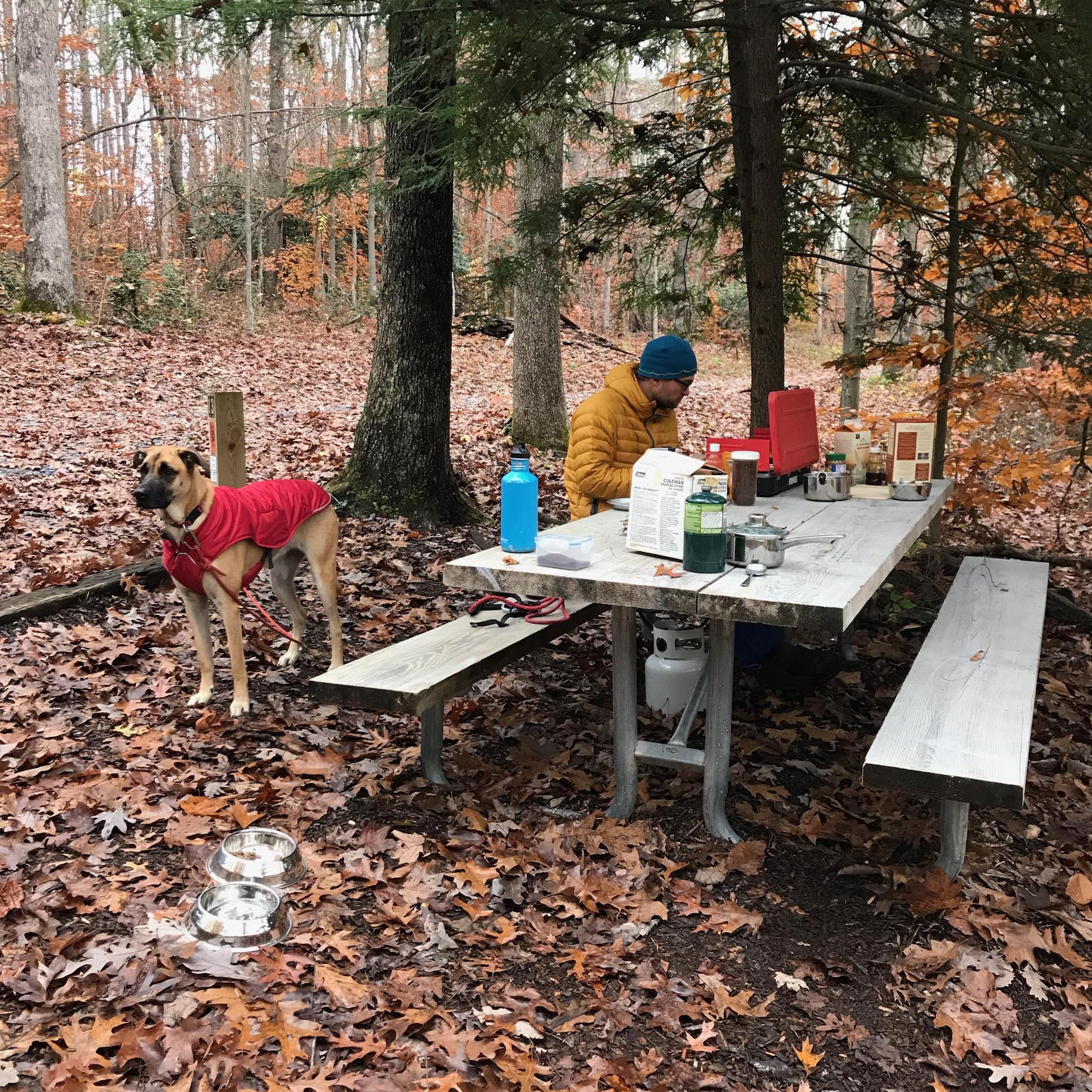 Camping with our other dog Miika, WV