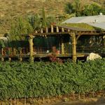 Viñas de Garza
